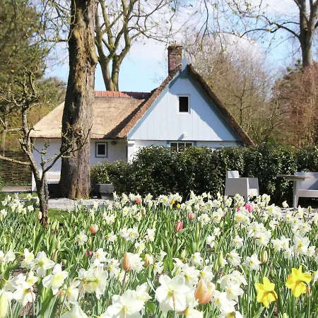 Romantic Close To The Forest Bergen