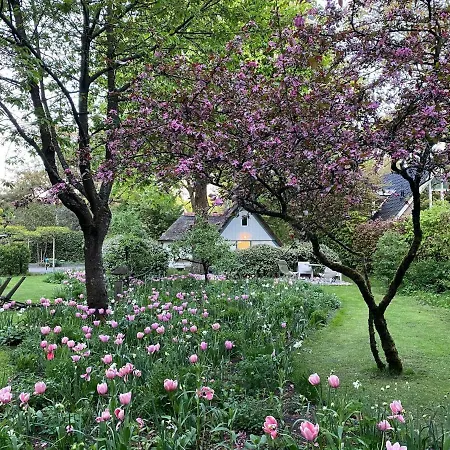 Romantic Close To The Forest * Bergen