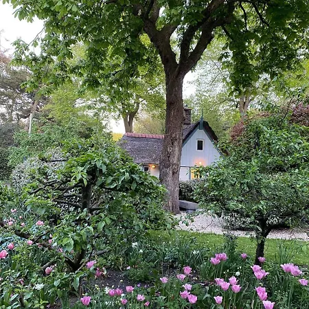 Romantic Close To The Forest *