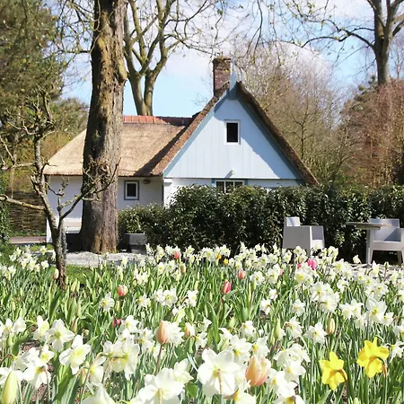 In Near The Tatil Evi Bergen