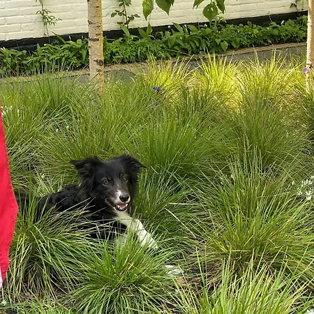 In Near The Tatil Evi