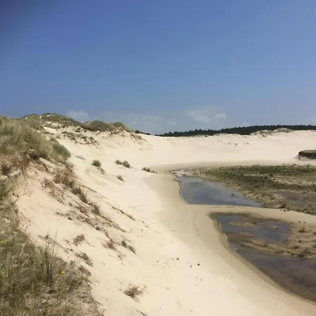 In Near The Tatil Evi *