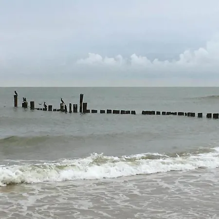 Tatil Evi In Near The Bergen