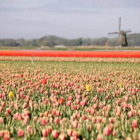 Tatil Evi In Near The *