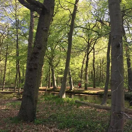 In Near The Tatil Evi Bergen