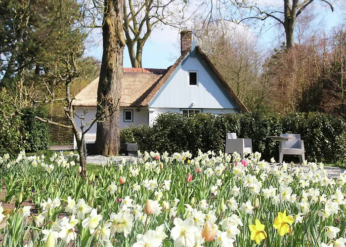 In Near The Дом отдыха Берген