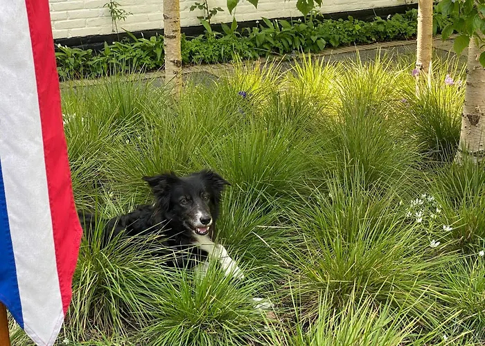 In Near The Дом отдыха