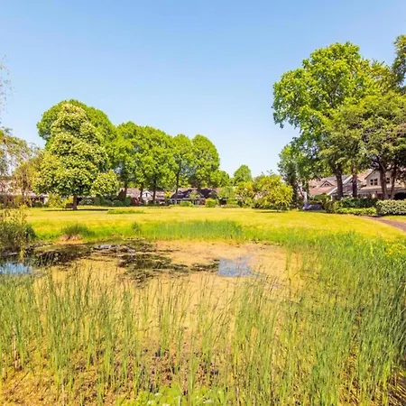 Romantic Close To The Forest *