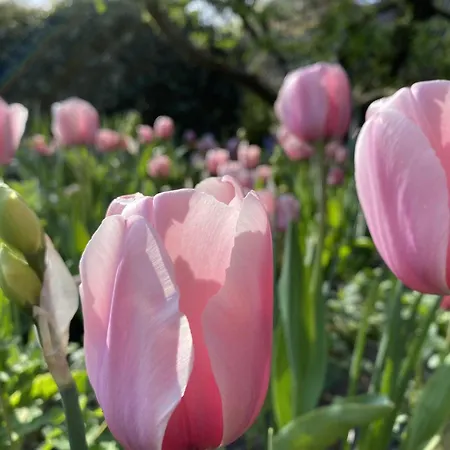 In Near The Дом отдыха