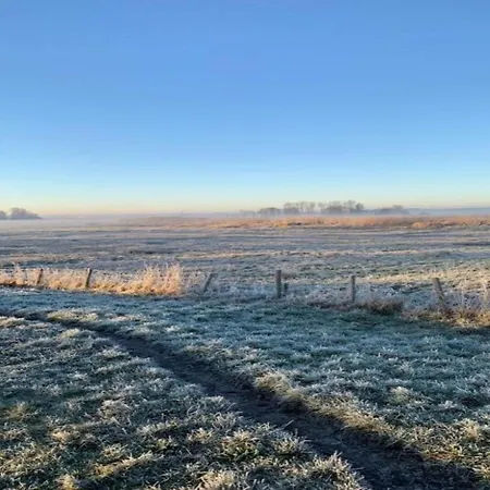 In Near The * Берген