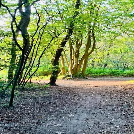 In Near The Берген