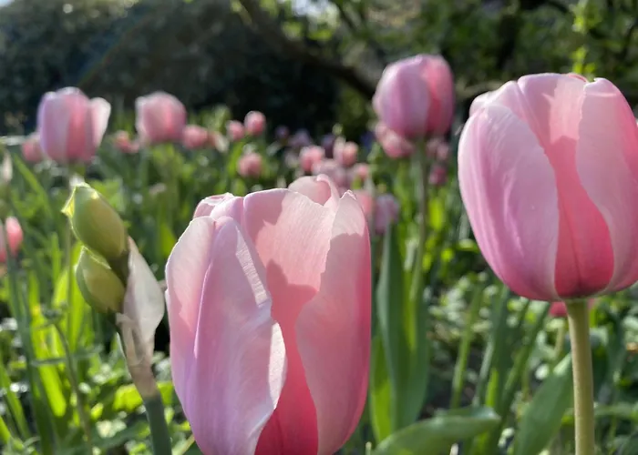 In Near The 度假居