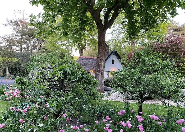 In Near The 卑尔根